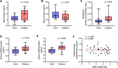 Impaired autophagy with augmented apoptosis in a Th1/Th2-imbalanced placental micromilieu is associated with spontaneous preterm birth